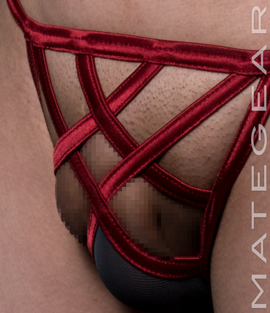 Sexy Mens Swimwear Xpression Mini Swim Bikini - Po Sook