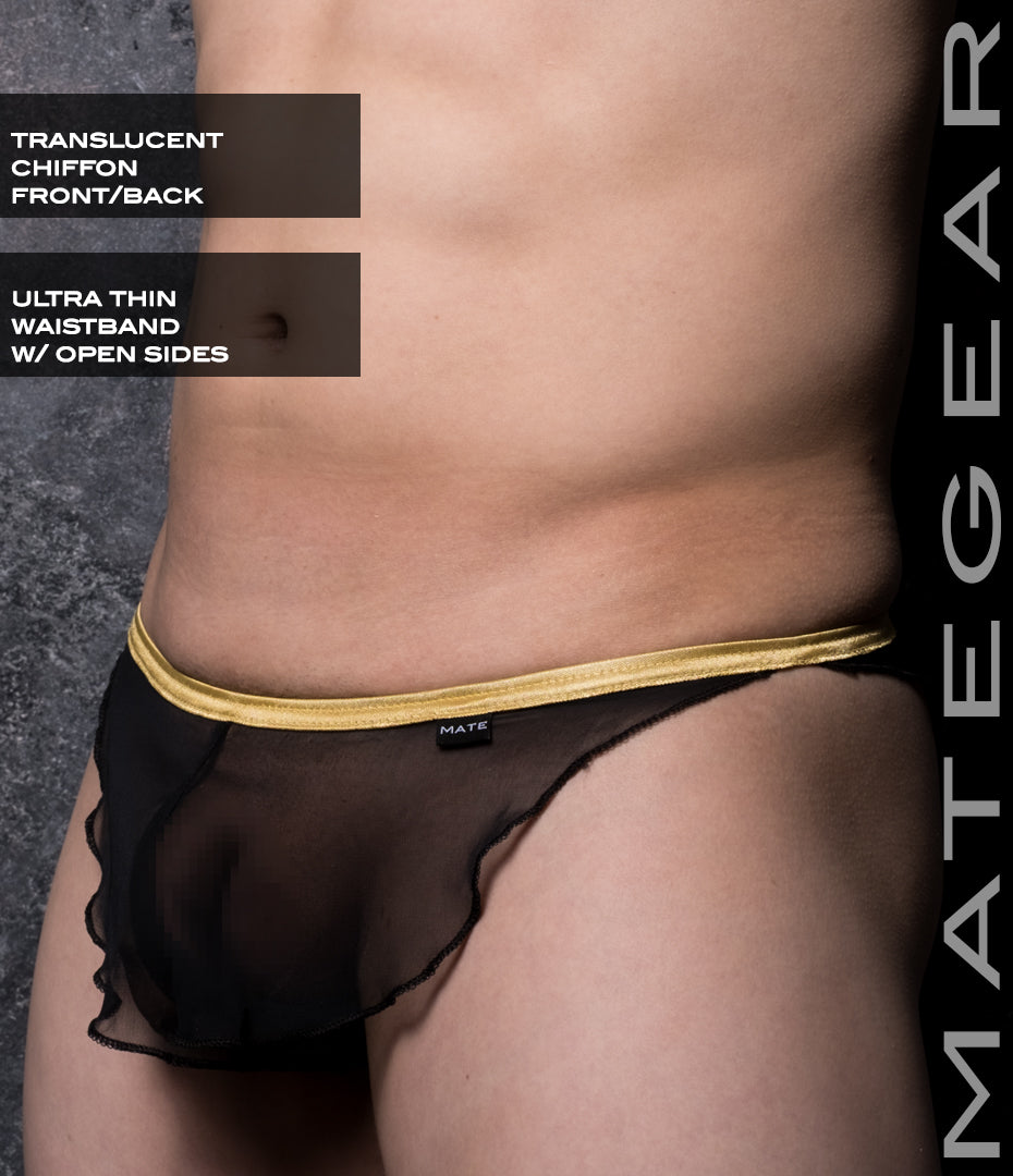 Sexy Mens Underwear Xpression Ultra Bikini - Ri So (Translucent Chiffon)