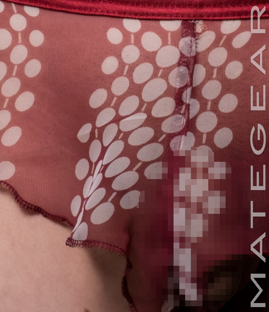 Sexy Mens Underwear Xpression Ultra Bikini - Ri So (Translucent Chiffon)