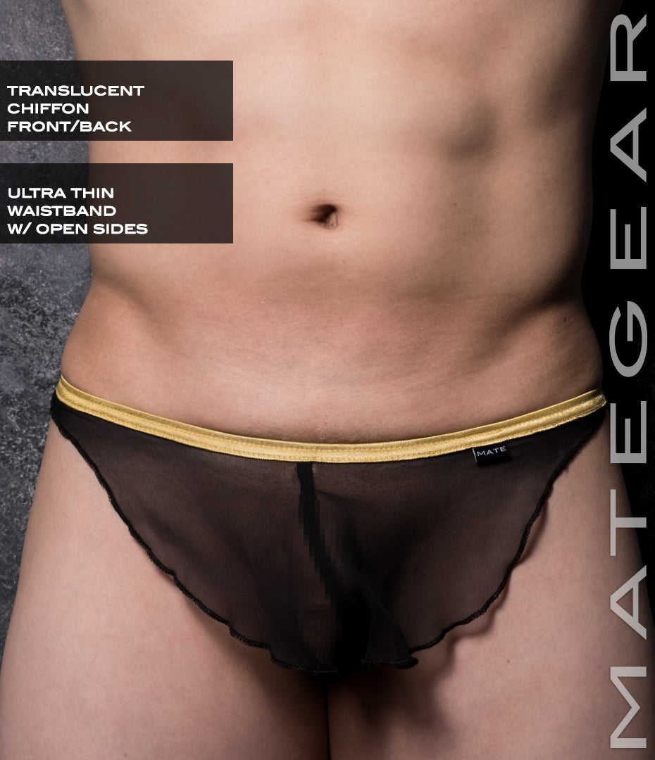 Sexy Mens Underwear Xpression Ultra Bikini - Ri So (Translucent Chiffon)