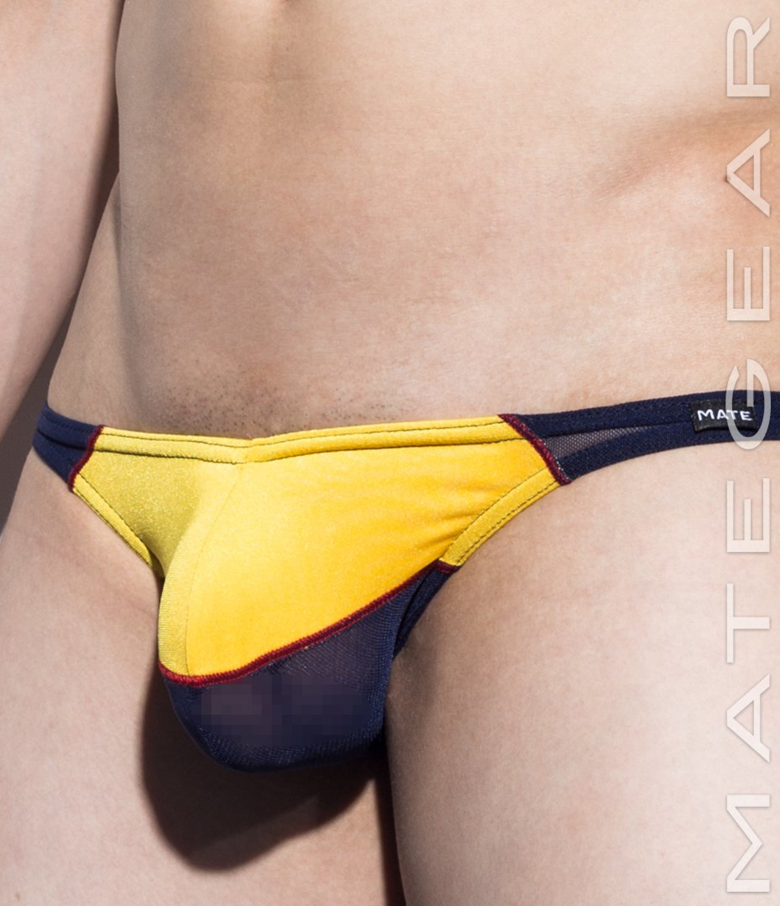 Sexy Men's Swimwear Mini Swim Bulge Bikini - Roe Young (Mesh Xpression Series) - MATEGEAR - Sexy Men's Swimwear, Underwear, Sportswear and Loungewear