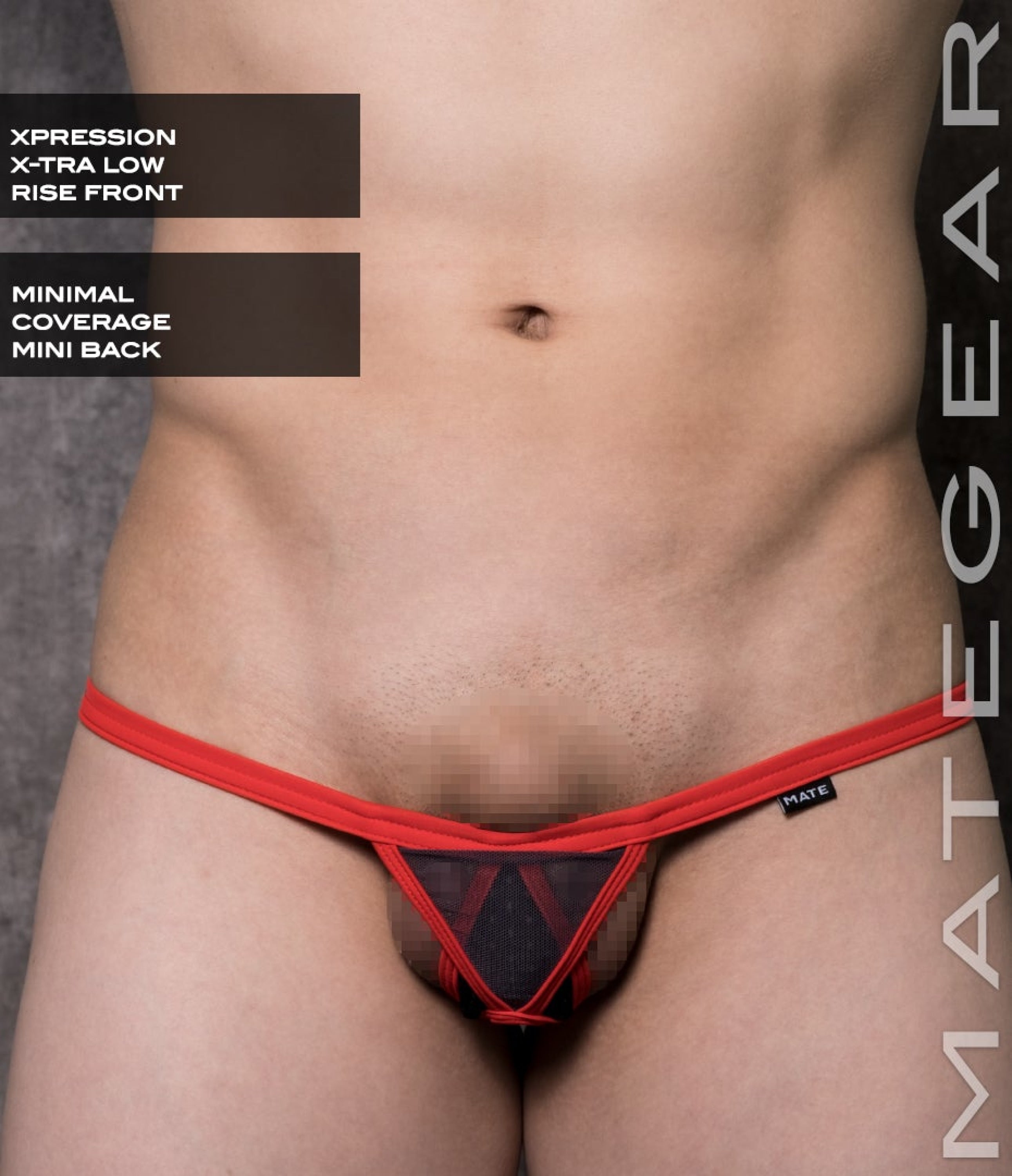 Sexy Mens Underwear Xpression Mini Bikini - Sun Hi (X-Tra Low Rise Front) Red Band / Grey Mesh