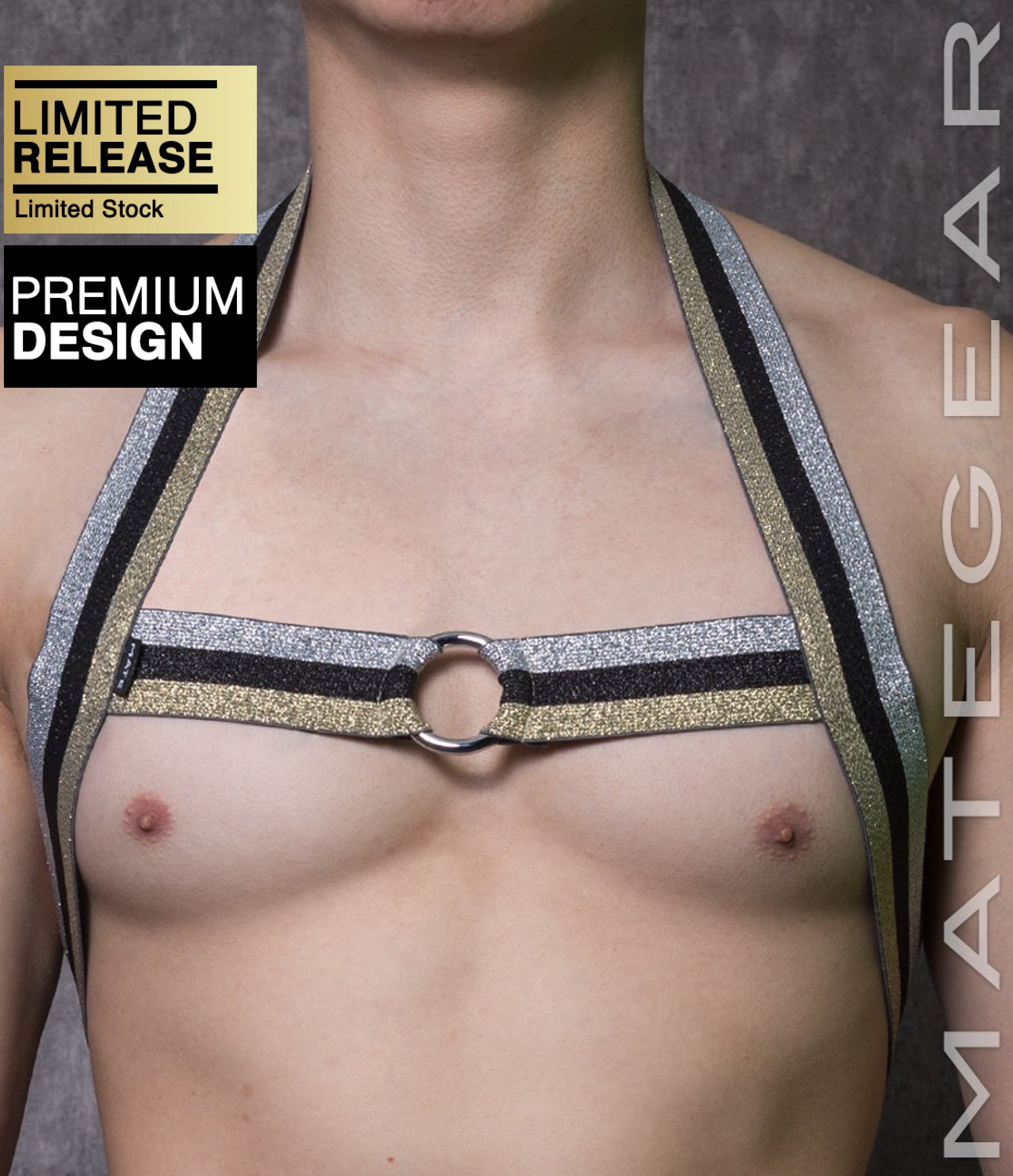 Harness Men, Men's Chain Leather Chest Harness, Men's Lingerie, Sexy M